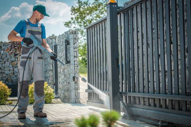 Best Solar Panel Cleaning  in Carrizo Springs, TX