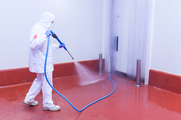 Best Boat and Dock Cleaning  in Carrizo Springs, TX