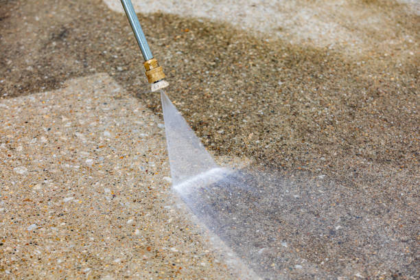Best Pool Deck Cleaning  in Carrizo Springs, TX