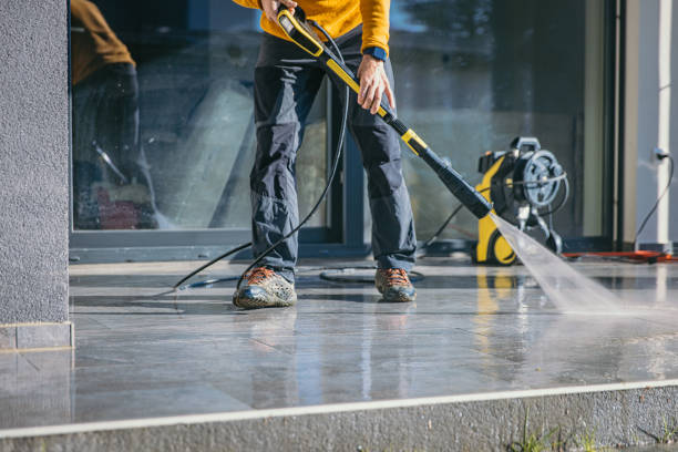 Best Driveway Pressure Washing  in Carrizo Springs, TX