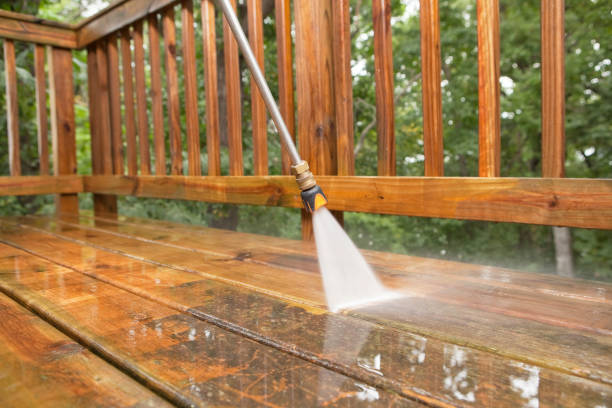 Best Driveway Pressure Washing  in Carrizo Springs, TX