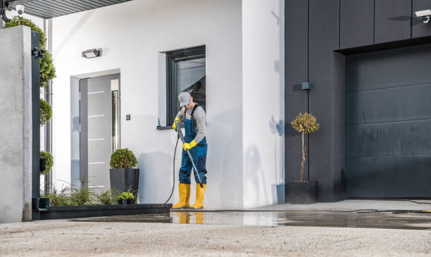 Animal Enclosure Cleaning in Carrizo Springs, TX